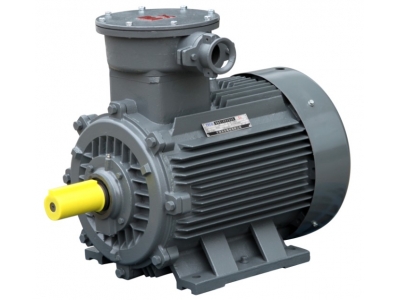 TECO東元電機(jī) TEBY系列 防爆電機(jī) | TECO Exd IIBT4 防爆電機(jī) 高效電機(jī)