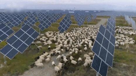 【電廠】2018年水電再次霸屏央視 水光互補項目閃亮登場！ - TECO東元電機 | 變頻器·伺服電機·減速機·電機解決方案