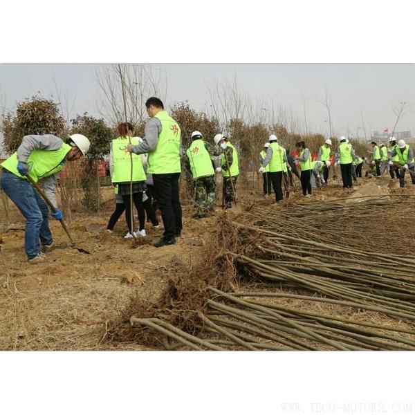 【造紙】建環(huán)保工廠 創(chuàng)森林城市 行業(yè)資訊 第2張 【造紙】建環(huán)保工廠 創(chuàng)森林城市 - TECO東元電機(jī) | 變頻器·伺服電機(jī)·減速機(jī)·電機(jī)解決方案