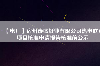 【電廠】宿州泰盛紙業(yè)有限公司熱電聯(lián)產項目核準申請報告核準前公示