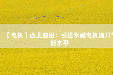【電機(jī)】西北油田:引進(jìn)永磁電機(jī)提升節(jié)能水平 - TECO東元電機(jī) | 變頻器·伺服電機(jī)·減速機(jī)·電機(jī)解決方案