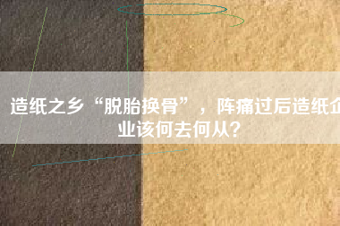 造紙之鄉(xiāng)“脫胎換骨”，陣痛過后造紙企業(yè)該何去何從？