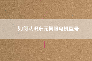 如何認(rèn)識東元伺服電機型號