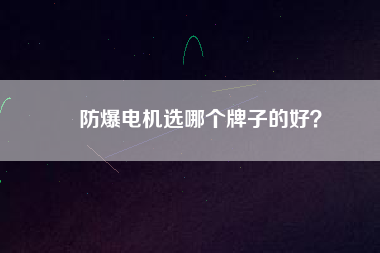 防爆電機(jī)選哪個牌子的好？