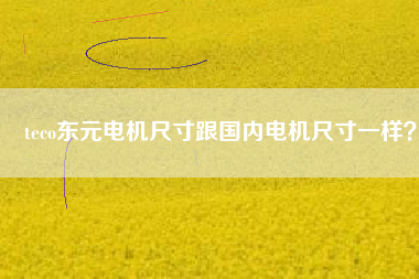 teco東元電機(jī)尺寸跟國內(nèi)電機(jī)尺寸一樣？