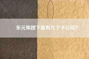 東元集團(tuán)下面有幾個(gè)子公司？