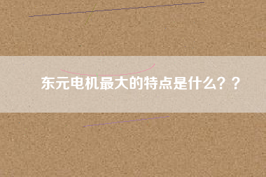 東元電機最大的特點是什么？？