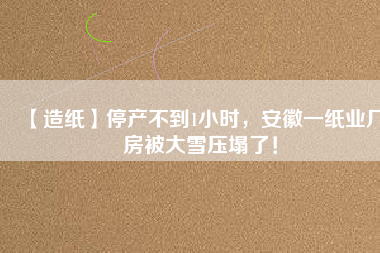 【造紙】停產(chǎn)不到1小時(shí)，安徽一紙業(yè)廠房被大雪壓塌了！