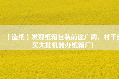 【造紙】發(fā)現(xiàn)紙箱包裝前途廣闊，村干部買大批機(jī)器辦紙箱廠！