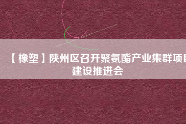 【橡塑】陜州區(qū)召開聚氨酯產(chǎn)業(yè)集群項目建設推進會
