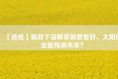 【造紙】新政下溶解漿前景看好，太陽紙業(yè)能預測未來？