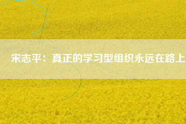 宋志平：真正的學(xué)習(xí)型組織永遠在路上