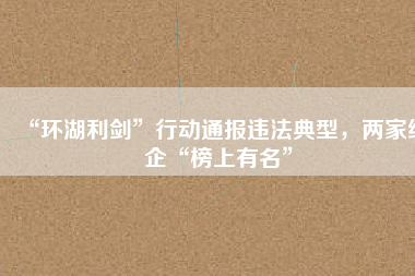 “環(huán)湖利劍”行動通報違法典型，兩家紙企“榜上有名”
