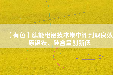 【有色】旗能電鋁技術(shù)集中評(píng)判取良效 原鋁鐵、硅含量創(chuàng)新低