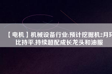 【電機】機械設備行業(yè):預計挖掘機2月環(huán)比持平,持續(xù)超配成長龍頭和油服 - TECO東元電機 | 變頻器·伺服電機·減速機·電機解決方案