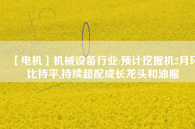 【電機】機械設備行業(yè):預計挖掘機2月環(huán)比持平,持續(xù)超配成長龍頭和油服 - TECO東元電機 | 變頻器·伺服電機·減速機·電機解決方案