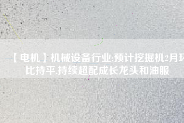 【電機】機械設備行業(yè):預計挖掘機2月環(huán)比持平,持續(xù)超配成長龍頭和油服 - TECO東元電機 | 變頻器·伺服電機·減速機·電機解決方案
