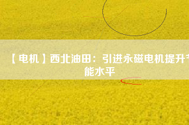 【電機(jī)】西北油田:引進(jìn)永磁電機(jī)提升節(jié)能水平 - TECO東元電機(jī) | 變頻器·伺服電機(jī)·減速機(jī)·電機(jī)解決方案