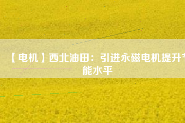 【電機(jī)】西北油田:引進(jìn)永磁電機(jī)提升節(jié)能水平 - TECO東元電機(jī) | 變頻器·伺服電機(jī)·減速機(jī)·電機(jī)解決方案