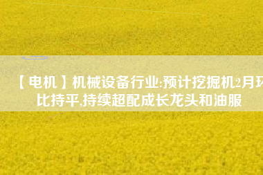 【電機】機械設備行業(yè):預計挖掘機2月環(huán)比持平,持續(xù)超配成長龍頭和油服 - TECO東元電機 | 變頻器·伺服電機·減速機·電機解決方案