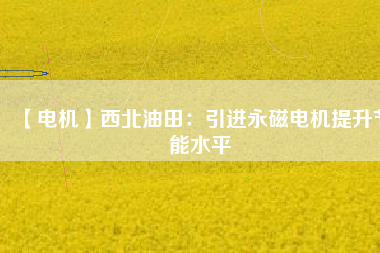 【電機(jī)】西北油田:引進(jìn)永磁電機(jī)提升節(jié)能水平 - TECO東元電機(jī) | 變頻器·伺服電機(jī)·減速機(jī)·電機(jī)解決方案