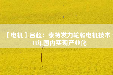 【電機(jī)】呂超：泰特發(fā)力輪轂電機(jī)技術(shù) 2018年國內(nèi)實現(xiàn)產(chǎn)業(yè)化 - TECO東元電機(jī) | 變頻器·伺服電機(jī)·減速機(jī)·電機(jī)解決方案