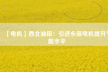 【電機(jī)】西北油田:引進(jìn)永磁電機(jī)提升節(jié)能水平 - TECO東元電機(jī) | 變頻器·伺服電機(jī)·減速機(jī)·電機(jī)解決方案