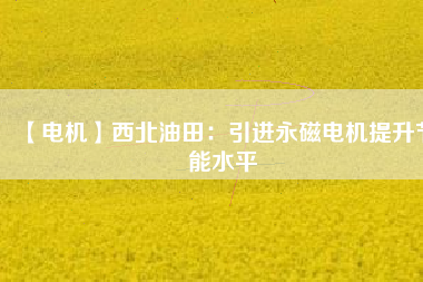 【電機(jī)】西北油田:引進(jìn)永磁電機(jī)提升節(jié)能水平 - TECO東元電機(jī) | 變頻器·伺服電機(jī)·減速機(jī)·電機(jī)解決方案