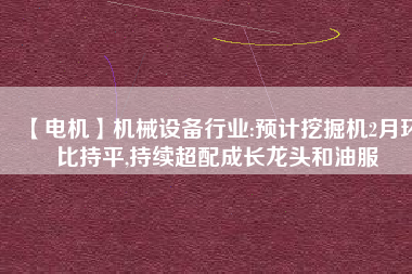 【電機】機械設備行業(yè):預計挖掘機2月環(huán)比持平,持續(xù)超配成長龍頭和油服 - TECO東元電機 | 變頻器·伺服電機·減速機·電機解決方案