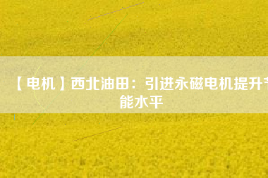 【電機(jī)】西北油田:引進(jìn)永磁電機(jī)提升節(jié)能水平 - TECO東元電機(jī) | 變頻器·伺服電機(jī)·減速機(jī)·電機(jī)解決方案