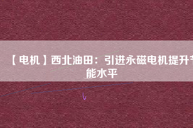 【電機(jī)】西北油田:引進(jìn)永磁電機(jī)提升節(jié)能水平 - TECO東元電機(jī) | 變頻器·伺服電機(jī)·減速機(jī)·電機(jī)解決方案