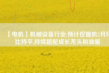 【電機】機械設備行業(yè):預計挖掘機2月環(huán)比持平,持續(xù)超配成長龍頭和油服 - TECO東元電機 | 變頻器·伺服電機·減速機·電機解決方案