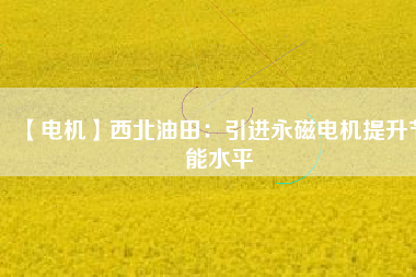 【電機(jī)】西北油田:引進(jìn)永磁電機(jī)提升節(jié)能水平 - TECO東元電機(jī) | 變頻器·伺服電機(jī)·減速機(jī)·電機(jī)解決方案