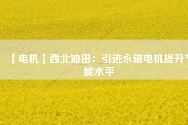 【電機(jī)】西北油田:引進(jìn)永磁電機(jī)提升節(jié)能水平 - TECO東元電機(jī) | 變頻器·伺服電機(jī)·減速機(jī)·電機(jī)解決方案