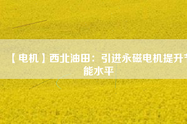 【電機(jī)】西北油田:引進(jìn)永磁電機(jī)提升節(jié)能水平 - TECO東元電機(jī) | 變頻器·伺服電機(jī)·減速機(jī)·電機(jī)解決方案