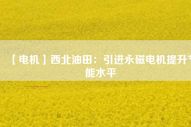 【電機(jī)】西北油田:引進(jìn)永磁電機(jī)提升節(jié)能水平 - TECO東元電機(jī) | 變頻器·伺服電機(jī)·減速機(jī)·電機(jī)解決方案
