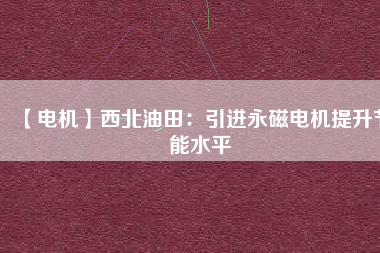 【電機(jī)】西北油田:引進(jìn)永磁電機(jī)提升節(jié)能水平 - TECO東元電機(jī) | 變頻器·伺服電機(jī)·減速機(jī)·電機(jī)解決方案