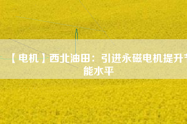 【電機(jī)】西北油田:引進(jìn)永磁電機(jī)提升節(jié)能水平 - TECO東元電機(jī) | 變頻器·伺服電機(jī)·減速機(jī)·電機(jī)解決方案