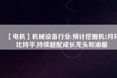 【電機】機械設備行業(yè):預計挖掘機2月環(huán)比持平,持續(xù)超配成長龍頭和油服 - TECO東元電機 | 變頻器·伺服電機·減速機·電機解決方案