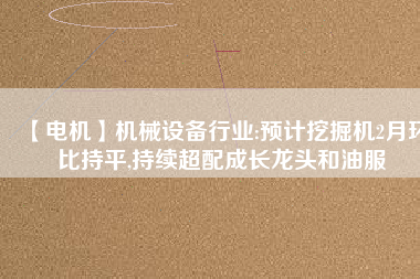 【電機】機械設備行業(yè):預計挖掘機2月環(huán)比持平,持續(xù)超配成長龍頭和油服 - TECO東元電機 | 變頻器·伺服電機·減速機·電機解決方案