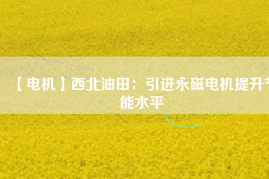 【電機(jī)】西北油田:引進(jìn)永磁電機(jī)提升節(jié)能水平 - TECO東元電機(jī) | 變頻器·伺服電機(jī)·減速機(jī)·電機(jī)解決方案