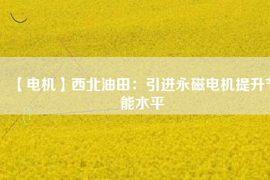 【電機(jī)】西北油田:引進(jìn)永磁電機(jī)提升節(jié)能水平 - TECO東元電機(jī) | 變頻器·伺服電機(jī)·減速機(jī)·電機(jī)解決方案