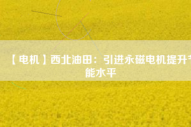【電機(jī)】西北油田:引進(jìn)永磁電機(jī)提升節(jié)能水平 - TECO東元電機(jī) | 變頻器·伺服電機(jī)·減速機(jī)·電機(jī)解決方案