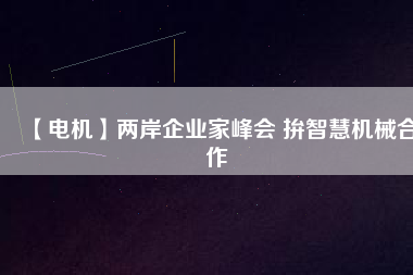 【電機】兩岸企業(yè)家峰會 拚智慧機械合作 - TECO東元電機 | 變頻器·伺服電機·減速機·電機解決方案
