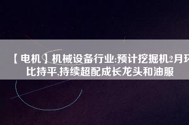 【電機】機械設備行業(yè):預計挖掘機2月環(huán)比持平,持續(xù)超配成長龍頭和油服 - TECO東元電機 | 變頻器·伺服電機·減速機·電機解決方案