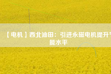 【電機(jī)】西北油田:引進(jìn)永磁電機(jī)提升節(jié)能水平 - TECO東元電機(jī) | 變頻器·伺服電機(jī)·減速機(jī)·電機(jī)解決方案