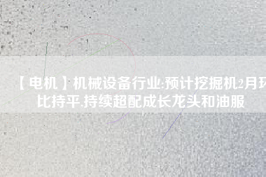 【電機】機械設備行業(yè):預計挖掘機2月環(huán)比持平,持續(xù)超配成長龍頭和油服 - TECO東元電機 | 變頻器·伺服電機·減速機·電機解決方案
