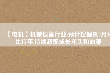 【電機】機械設備行業(yè):預計挖掘機2月環(huán)比持平,持續(xù)超配成長龍頭和油服 - TECO東元電機 | 變頻器·伺服電機·減速機·電機解決方案
