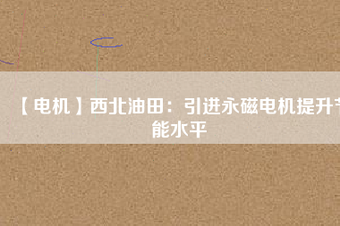 【電機(jī)】西北油田:引進(jìn)永磁電機(jī)提升節(jié)能水平 - TECO東元電機(jī) | 變頻器·伺服電機(jī)·減速機(jī)·電機(jī)解決方案