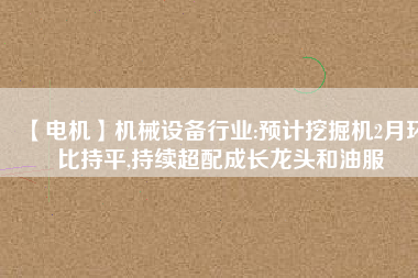 【電機】機械設備行業(yè):預計挖掘機2月環(huán)比持平,持續(xù)超配成長龍頭和油服 - TECO東元電機 | 變頻器·伺服電機·減速機·電機解決方案